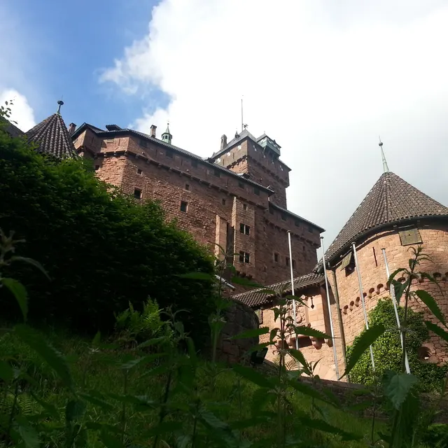 Haut-Kœnigsbourg seen from the forest path below its walls