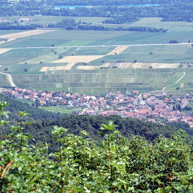 The Alsace plain and its villages seen from Haut-Kœnigsbourg