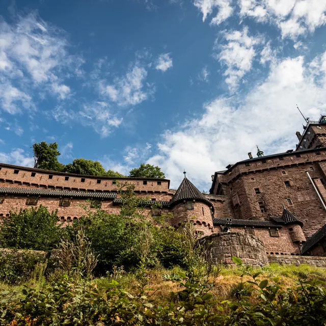 The pink-sandstone walls and towers of Haut-Kœnigsbourg