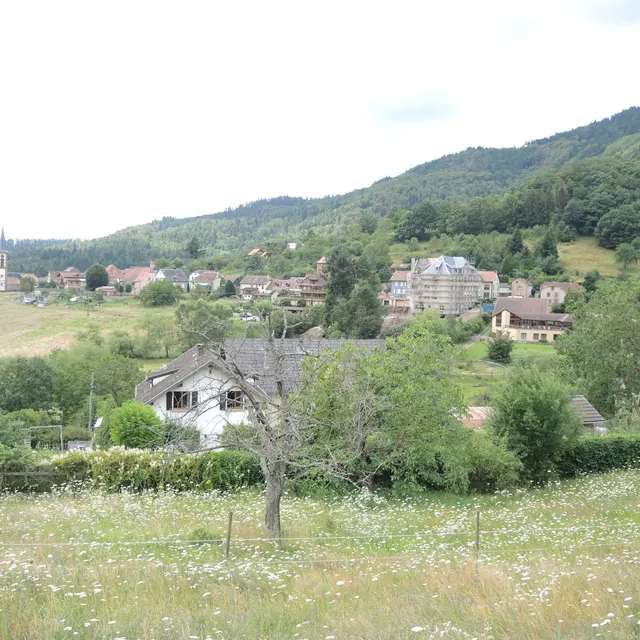 A wine-route village at the foot of the Haut-Kœnigsbourg road
